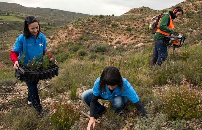 Técnicos y voluntarios de “la Caixa” trabajan en la reforestación de un bosque quemado en Montserrat