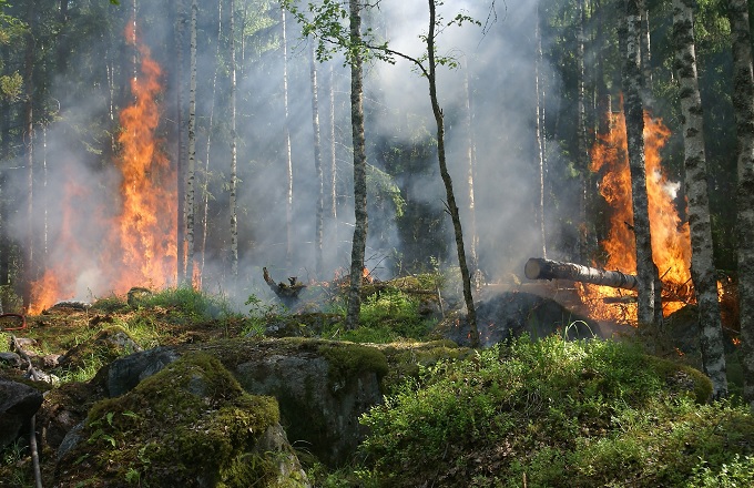 Inditex, primera empresa en sumarse al fondo impulsado por la Xunta de Galicia contra los incendios forestales