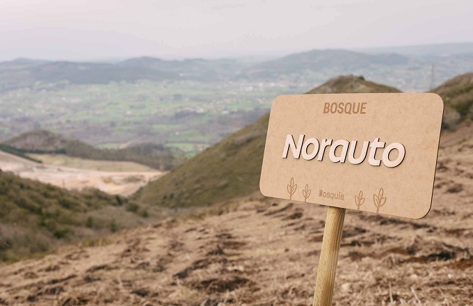 Norauto compensa más de 145 toneladas de CO2 con Bosque Norauto