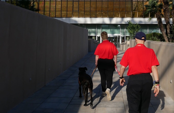 Nestlé forma a estudiantes con discapacidad intelectual para ampliar sus oportunidades laborales