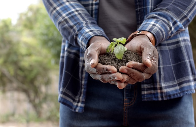 Unos 64 millones de empleos en Latinoamérica y el Caribe dependen de la biodiversidad