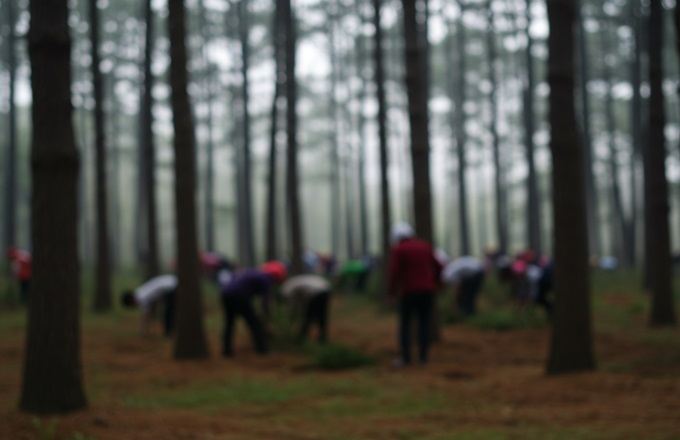 Mapfre neutraliza la huella de carbono de su junta de accionistas con la plantación de 465 árboles