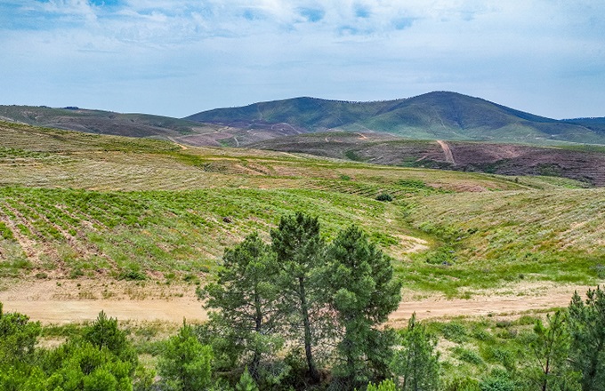 Imagen de El Bosque Uría