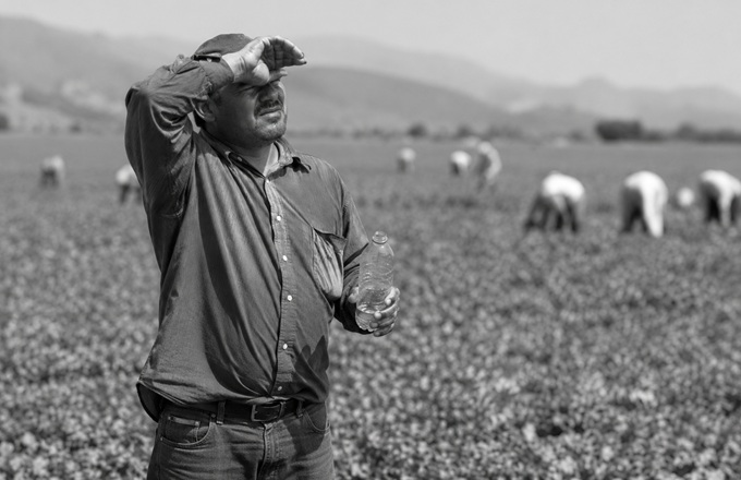 Trabajadores de agricultura