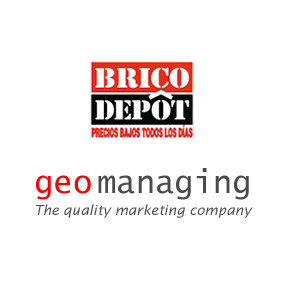 bricodepot geomanaging