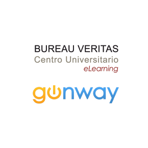 bureau veritas gonway