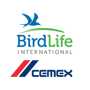 cemex birdlife