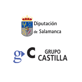grupo castilla diputacion de salamanca