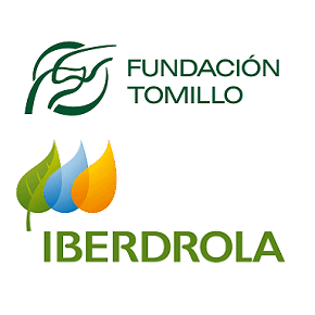 iberdrola tomillo