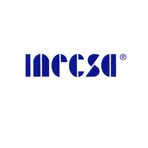 inecsa