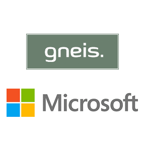 microsoft gneis