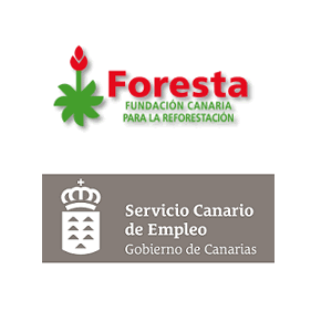 sce foresta