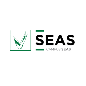 seas