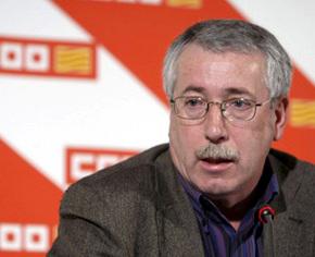 toxo_ccoo
