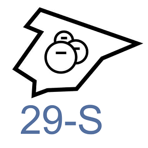 29-S adicae