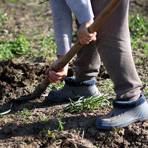agricultor