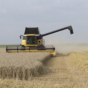 agricultura