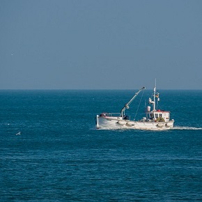 pesquero
