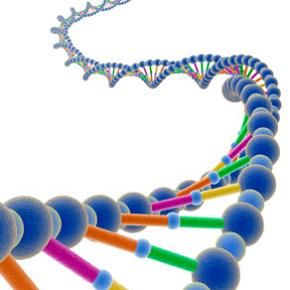 bio