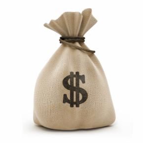 bolsa_dinero