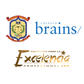 brains iep