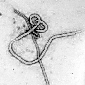 ebola
