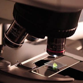 investigación