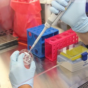investigacion