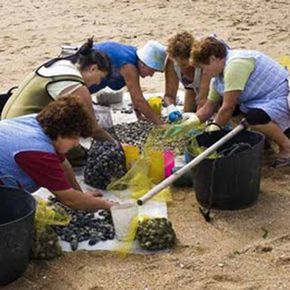 mariscadoras