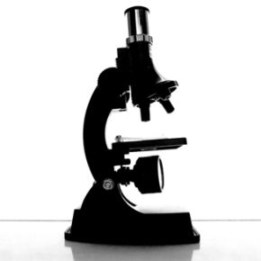 microscopio