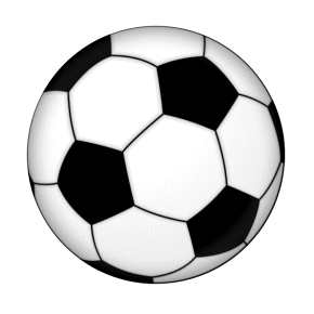 pelota