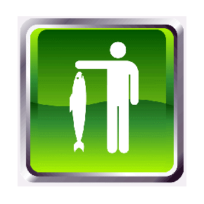 pesca