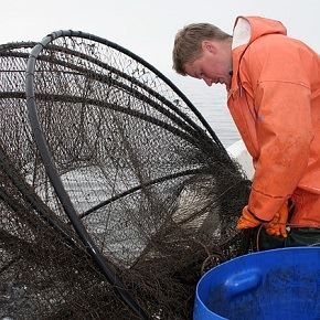 pescador